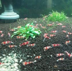 Aquatropic, Soumagne openingstijden