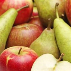 De Fruithoeve, Koksijde openingstijden