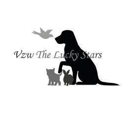 The Lucky Stars Vzw, Ellezelles openingstijden