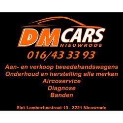 DM Cars Nieuwrode openingstijden