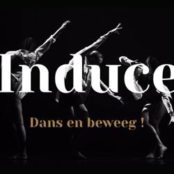 Induce Dans en Beweeg Gcv, Roeselare openingstijden