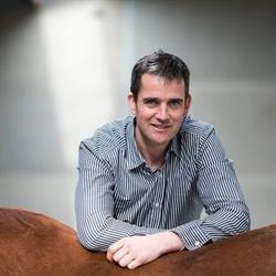Coenegrachts Stables, Meerle openingstijden