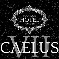 Boutique Hotel Caelus VII, Tongeren openingstijden