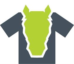 TexHas, Hasselt openingstijden