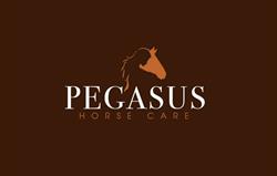 Pegasus Horse Care, Gruitrode openingstijden