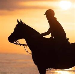 Green Stables Vof, De Haan openingstijden