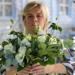 Bloem en Blad, Merchtem openingstijden