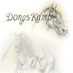 Dongs Kamp, Ophoven openingstijden