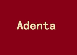 Adenta Tandartsenpraktijk, Merksem openingstijden