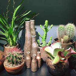 Natural Flowers & Decoration, Ukkel openingstijden