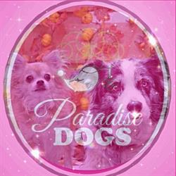 Paradise dogs, Luik openingstijden