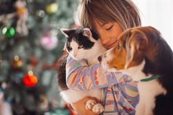 Animaux Express Ploegsteert, Komen-Waasten openingstijden