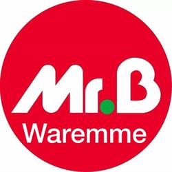 Mr Bricolage, Borgworm openingstijden