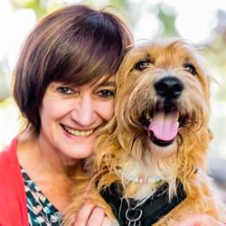 Fotografie Christel Wellens - Mechelen, openingstijden