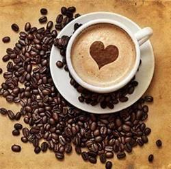 Cappuccino, Schoten openingstijden