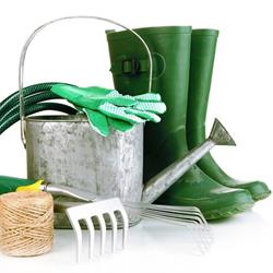 GREENEX - Compost - Boomschors - Vijver - Tuinbouw - Bosbouw, Hamme openingstijden