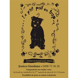 Le P'tit Poil en Trop, Saint-Nicolas openingstijden