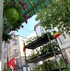 Graineterie du Perron Toilettage Animalerie, Châtelet openingstijden