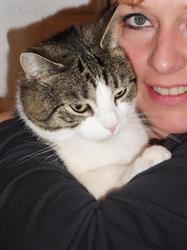 Kattenhotel titus, Diepenbeek openingstijden