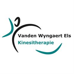 Kinesitherapie Vanden Wyngaert Els, Beringen openingstijden