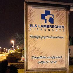 Els Lambrechts Dierenarts, Hulshout openingstijden