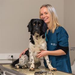 Dierenartsenpraktijk Hasselbroek, Jeuk openingstijden