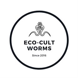 Eco-Cult Worms (Wormenkwekerij en wormencompost), Roeselare openingstijden