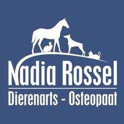 Nadia Rossel, Dendermonde openingstijden
