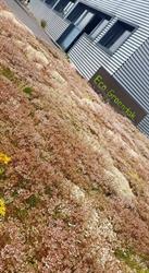 Eco Groendak, Velm openingstijden