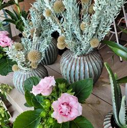Belle Rose Bloemen & Decoratie, Vleteren openingstijden