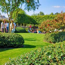 Schreurs Olivier, Rollegem-Kapelle openingstijden