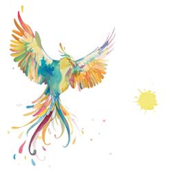 Raamfolie Phoenix-Artworks, Testelt openingstijden