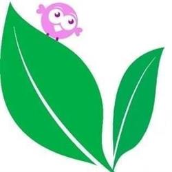 Vegetalicia, Namen openingstijden