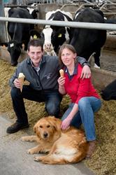 Hoeve 't Alkeveld, Zottegem openingstijden