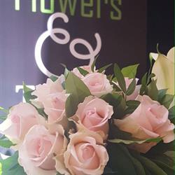 Flowers & Things, Jardinerie, Wommelgem openingstijden