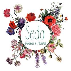 Seda’s, Kortrijk openingstijden