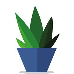 KOEN-interieurbeplanting, Velm openingstijden