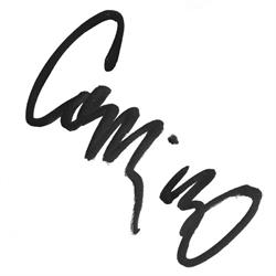 Camino, Antwerpen openingstijden