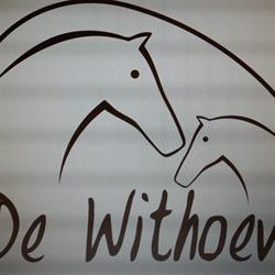 Stal De Withoeve, Mechelen openingstijden