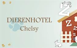 Dierenhotel Chelsy, Zedelgem openingstijden