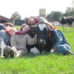 Koeknuffelen, Ravels openingstijden