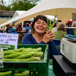 't Ambrozijn, Waardamme openingstijden