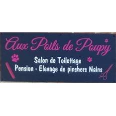Aux Poils de Poupy, Stambruges openingstijden