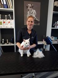 Trimsalon en dierenverzorgster Ilse Segers, Otegem openingstijden