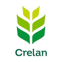 Crelan, Tienen openingstijden