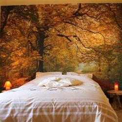 B&B Au fil des saisons sur la Wiels - Chambres d'hôtes, bed and breakfast, Fauvillers openingstijden