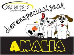 Dierenspeciaalzaak Amalia, Lierde openingstijden