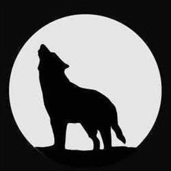 WOLF WORKWEAR GEEL, Geel openingstijden