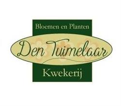 Den Tuimelaar, Zele openingstijden