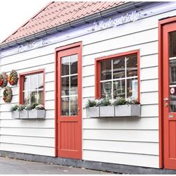 't Koningsfrietje, Oudenaarde openingstijden